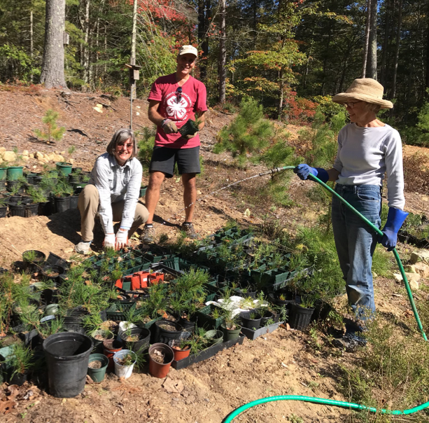 Board members caring for our native plant garden.