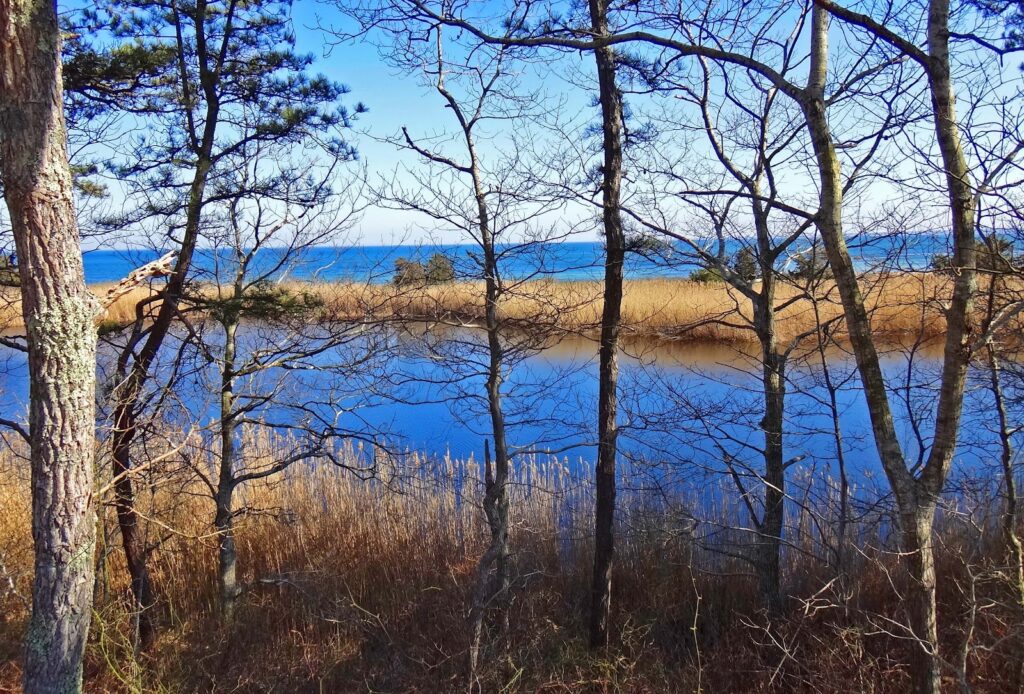 Center Hill Pond. Photo: Joe Davies