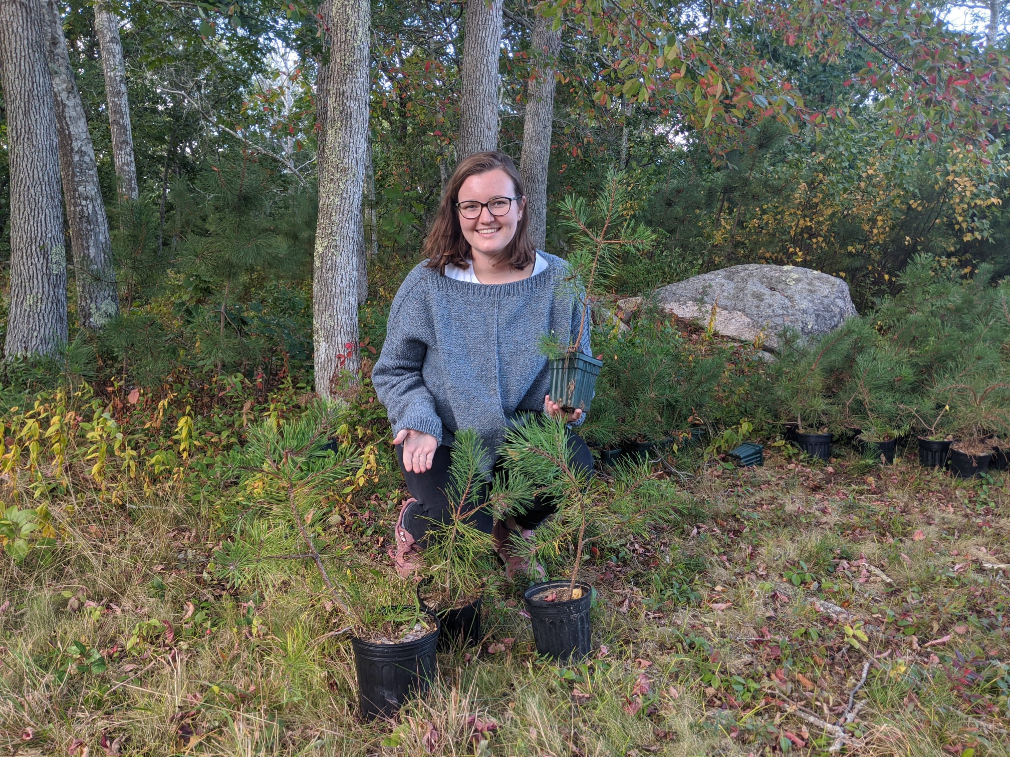 Anna posing with some of our pitch pine seedlings to publicize the "Adopt a Pitch Pine" event