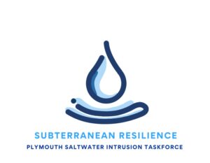 Subterranean Resilience